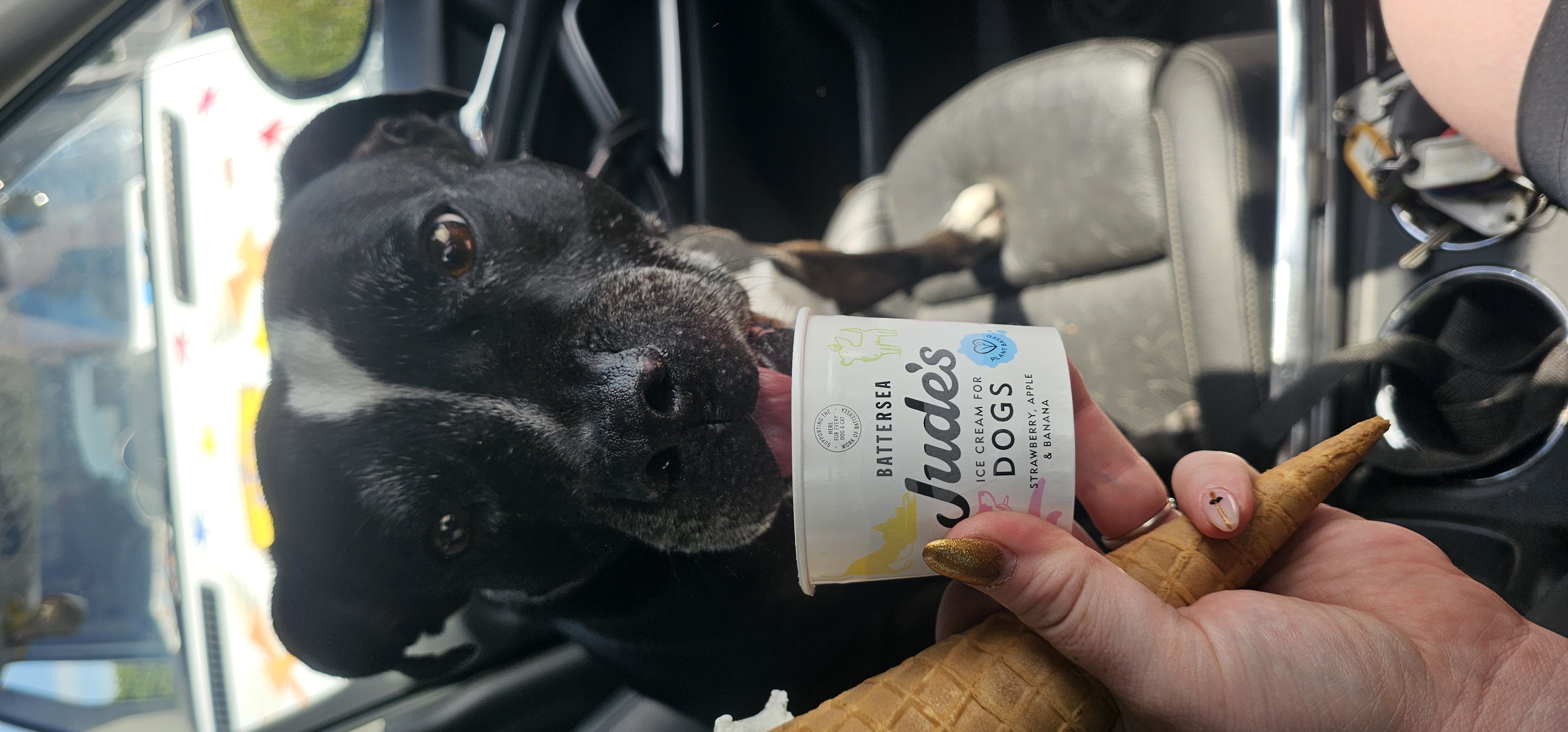Playful Pup in the Park